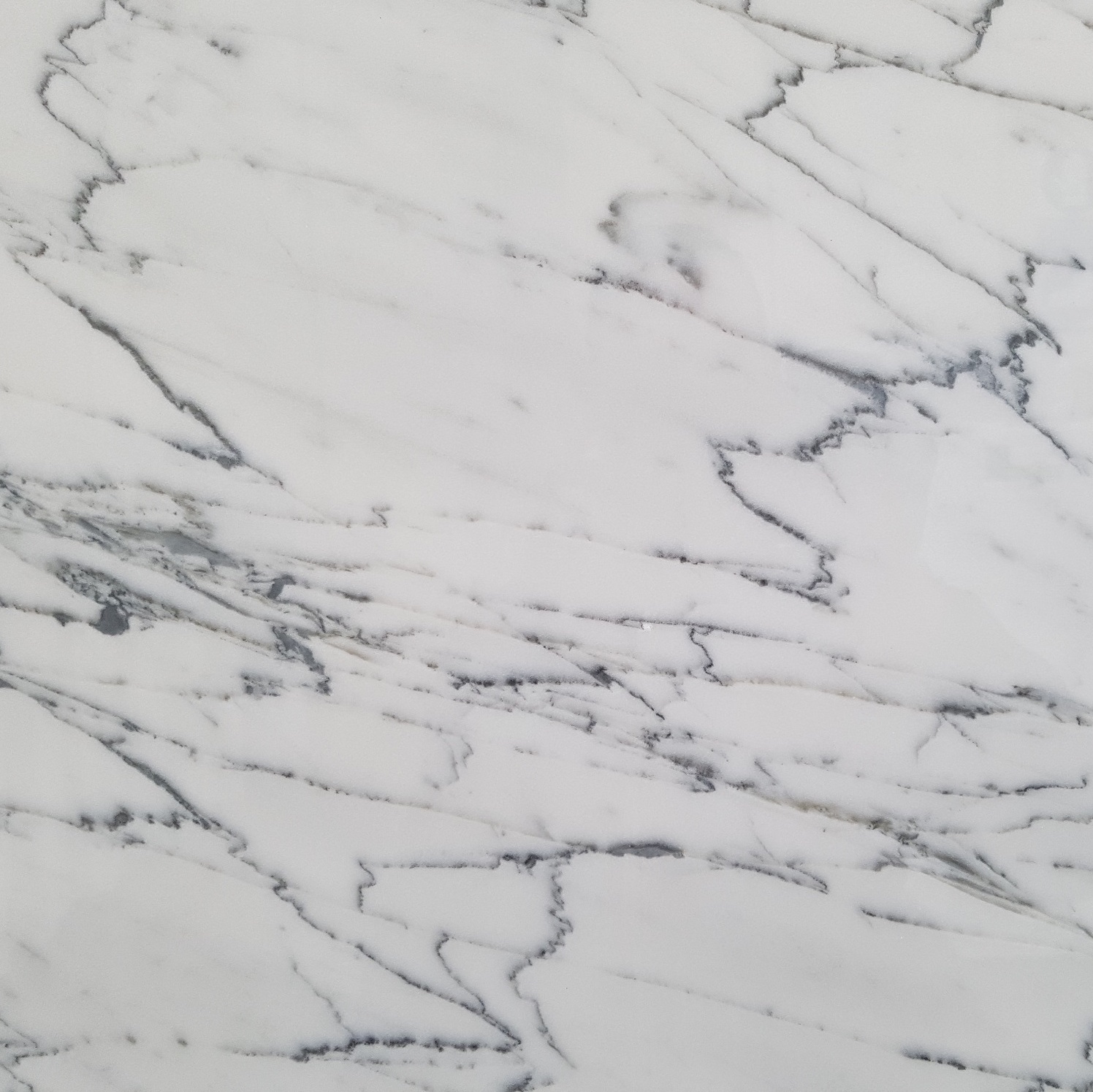 Bianco Carrara Venatino