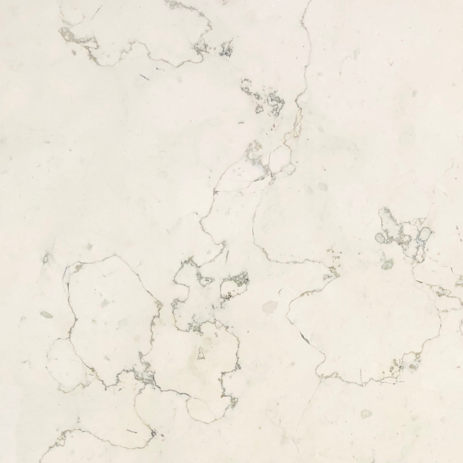 Bianco Perlino