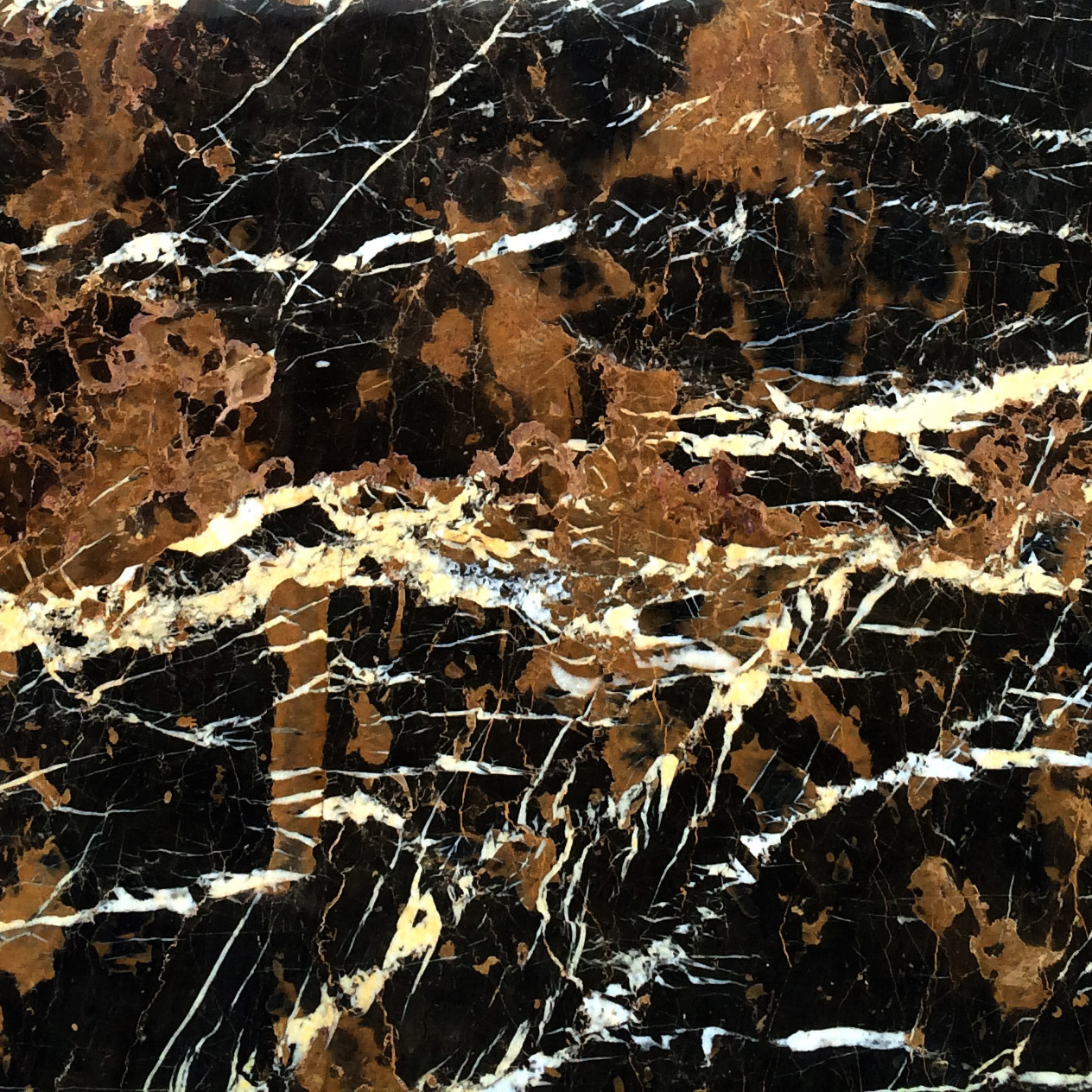 Black & Gold