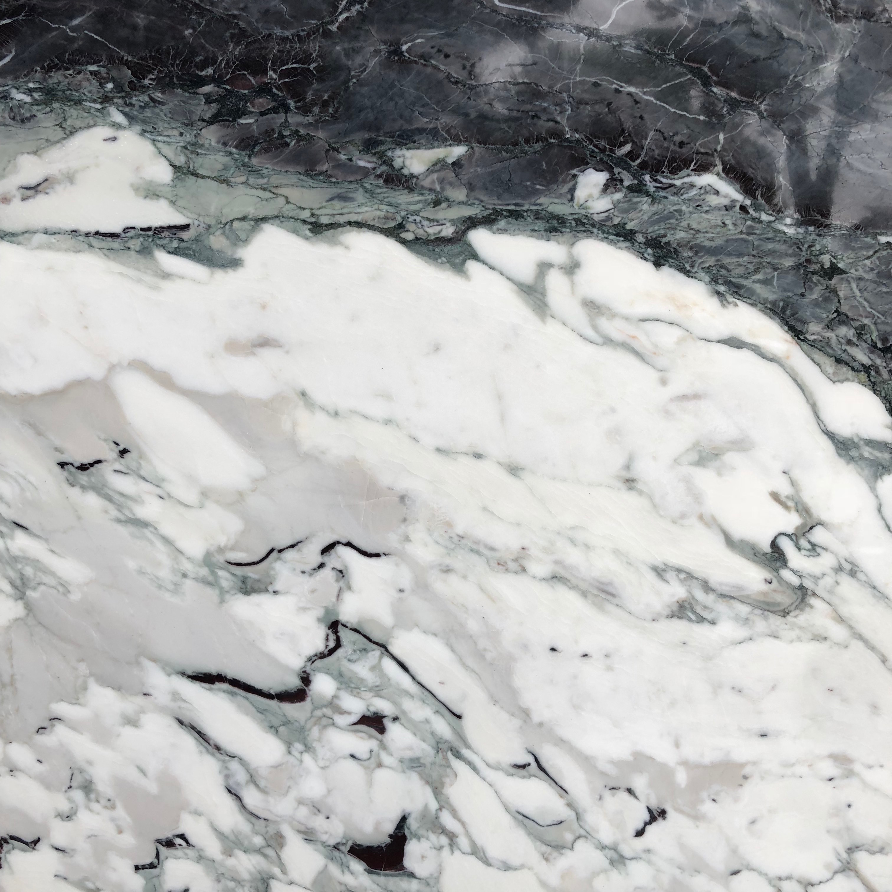 Breccia Capraia