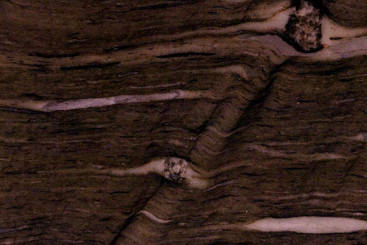 Brown Silk