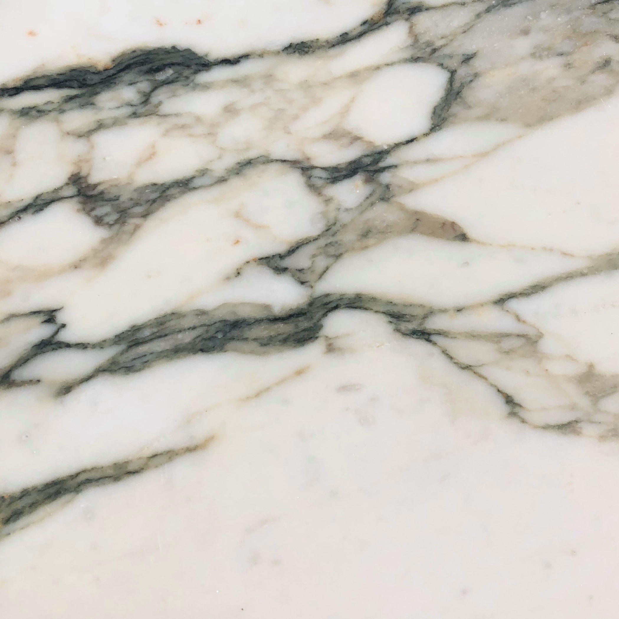Calacatta Fiorito