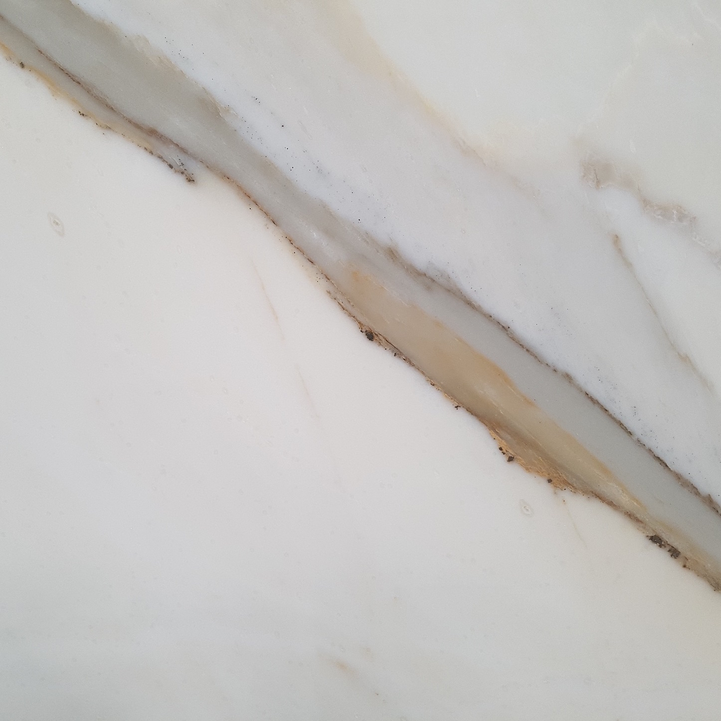 Calacatta Gold