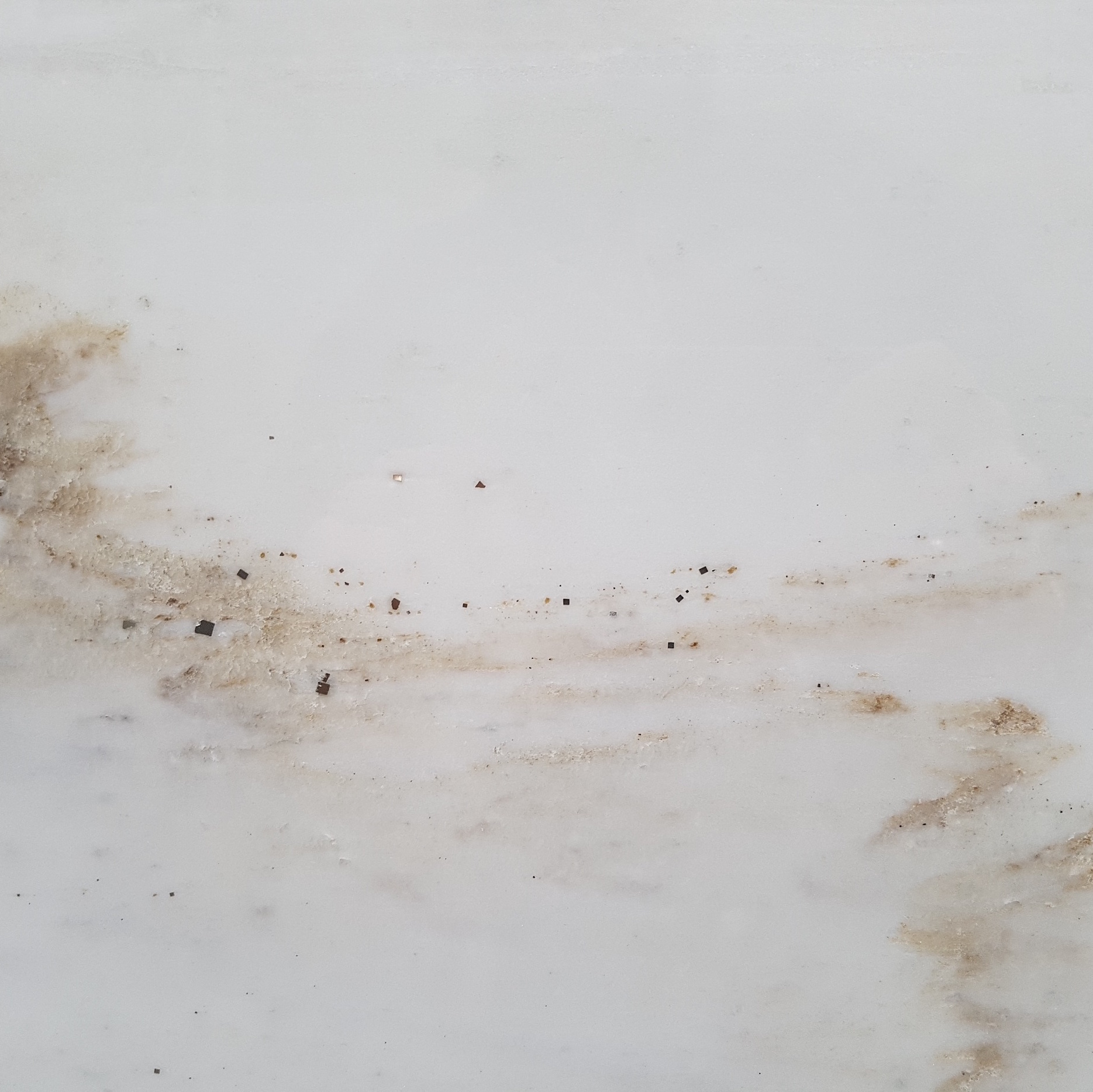 Cremo Delicato