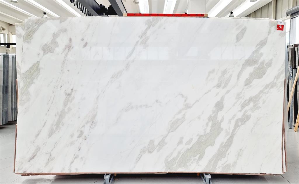 Oyster White