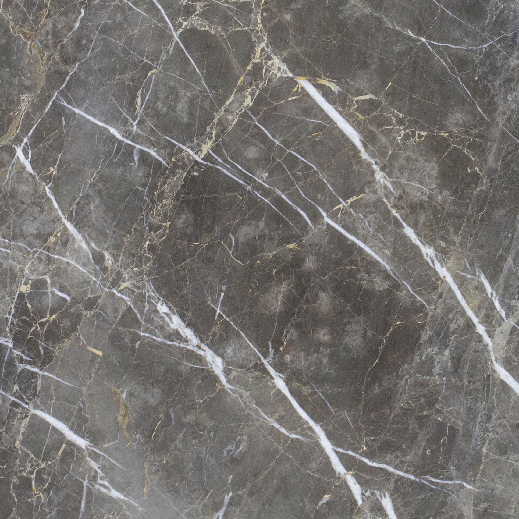 Grigio Collemandina
