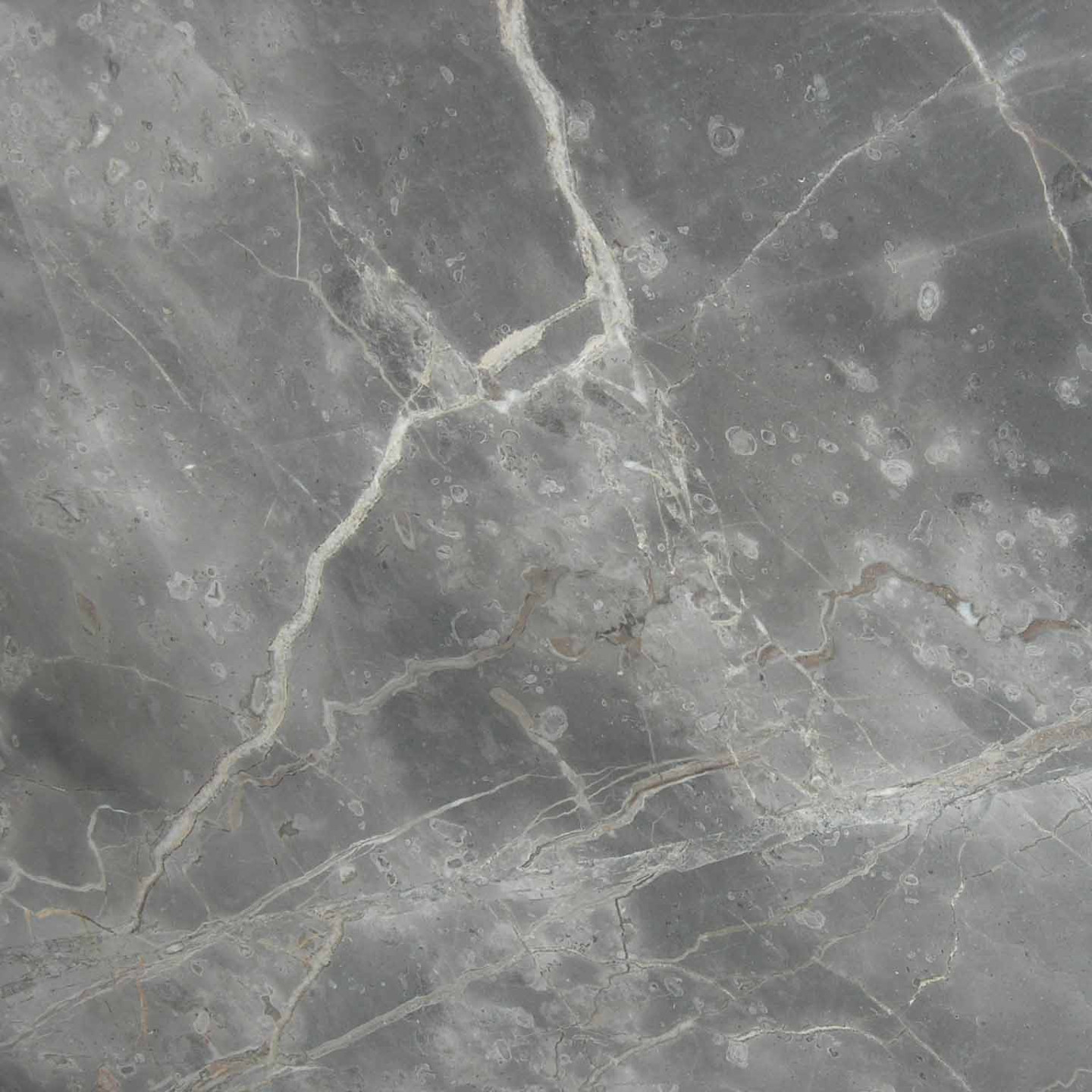Grigio Fior Di Bosco