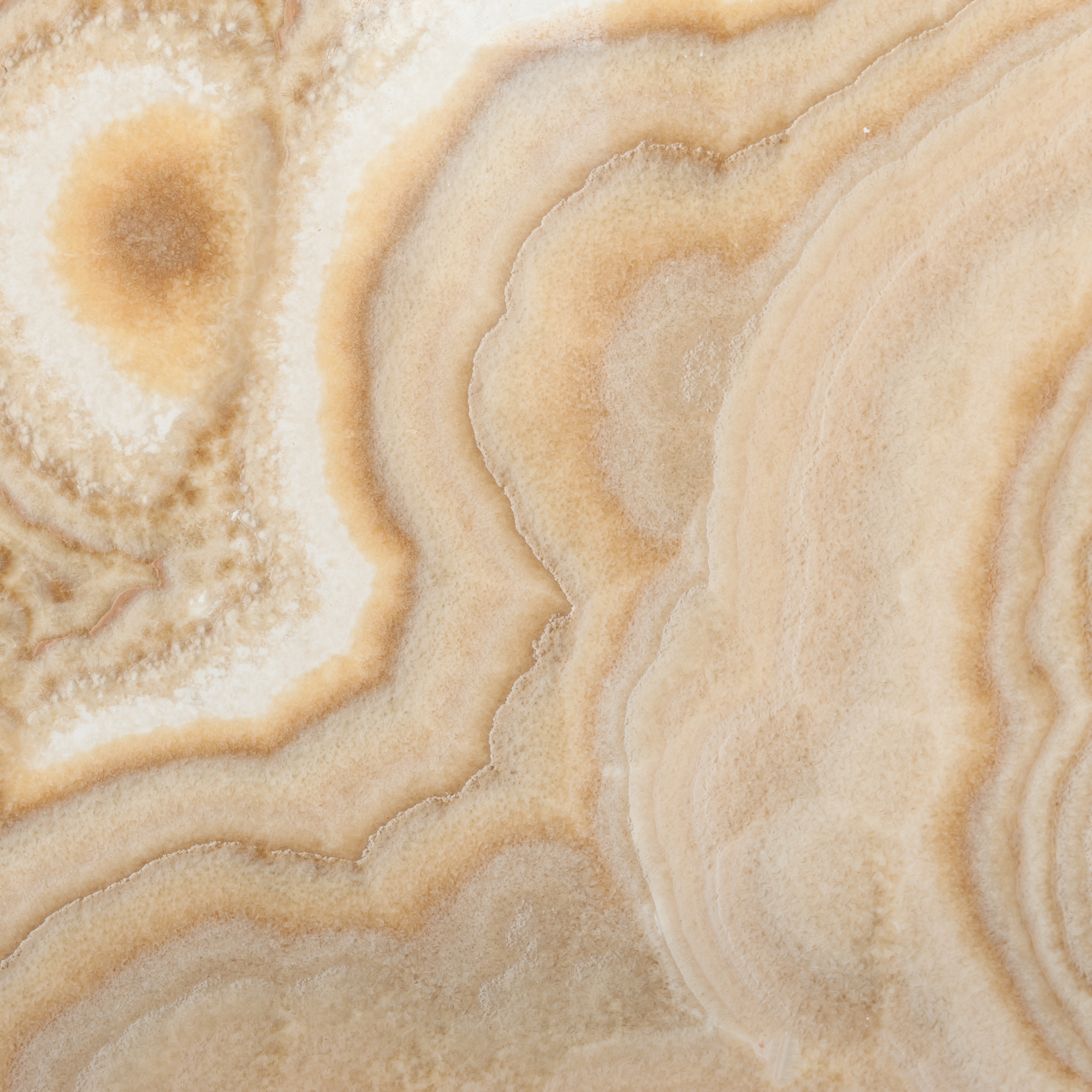 Onyx Cappuccino onyx — Marmorskivan