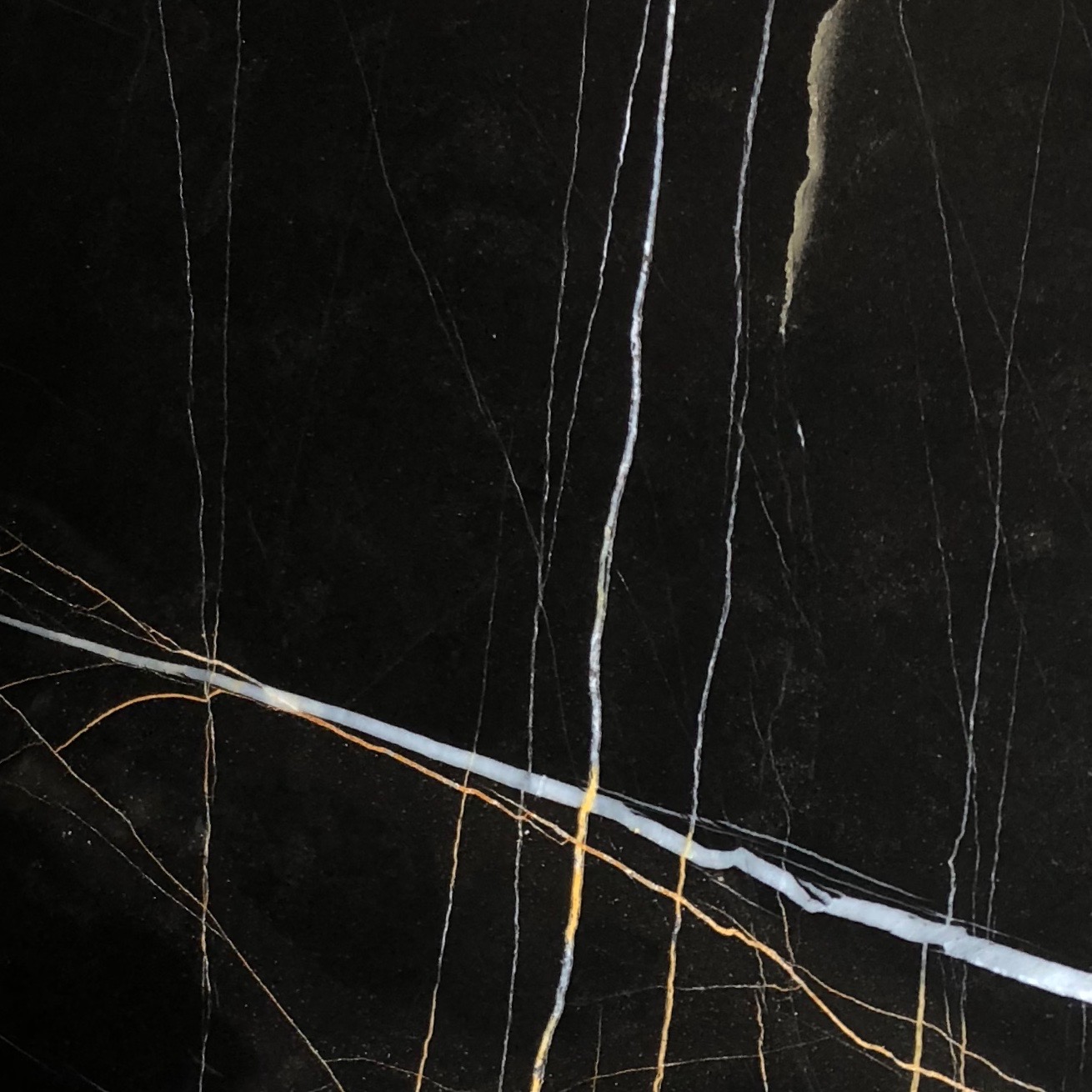 Sahara Noir