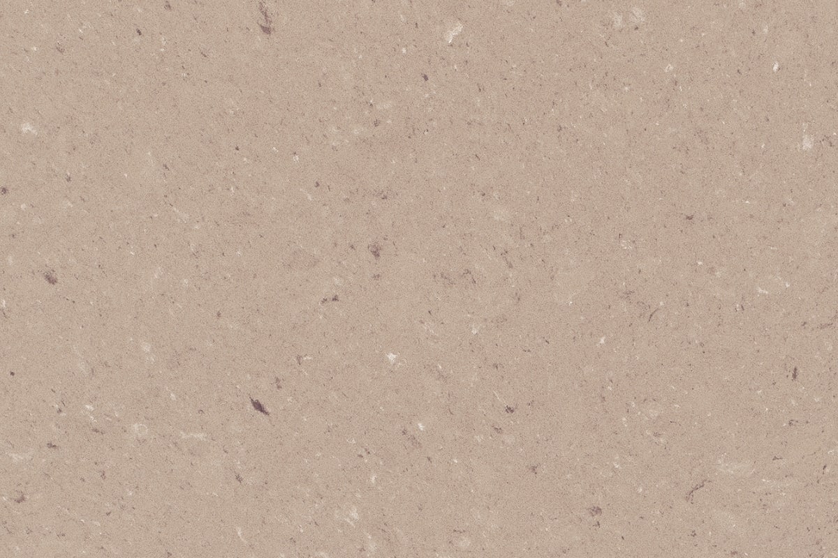 Shitake