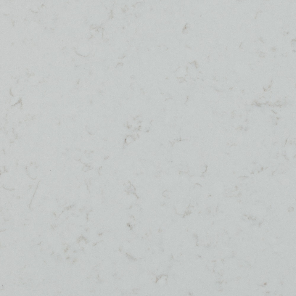 Veined Michelangelo