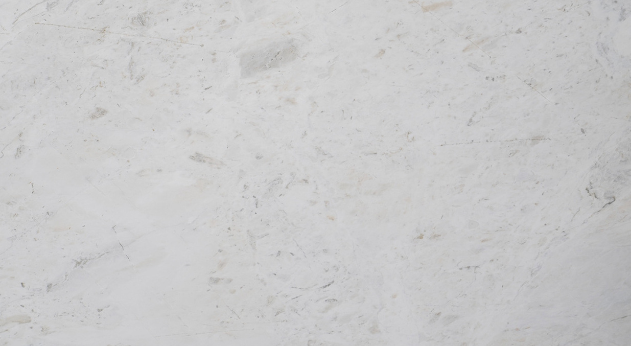 Calacatta Columbus – 204625