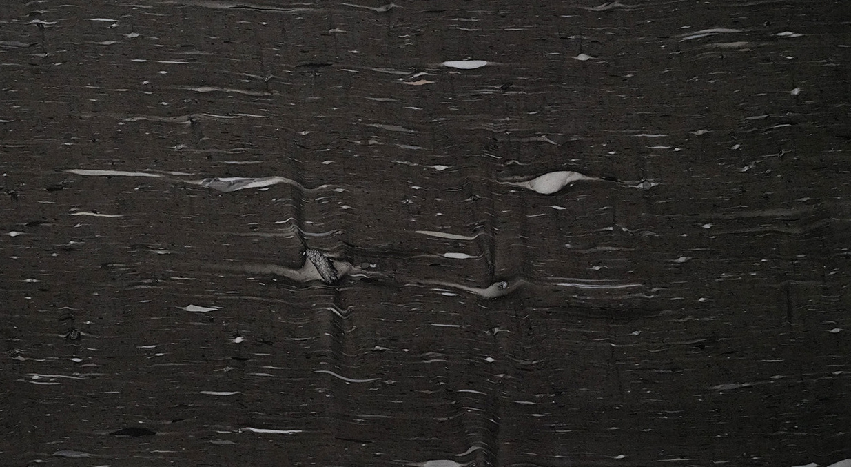 Cygnus 17710