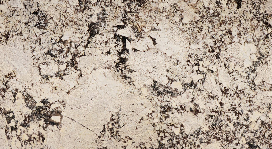Delicatus 017946