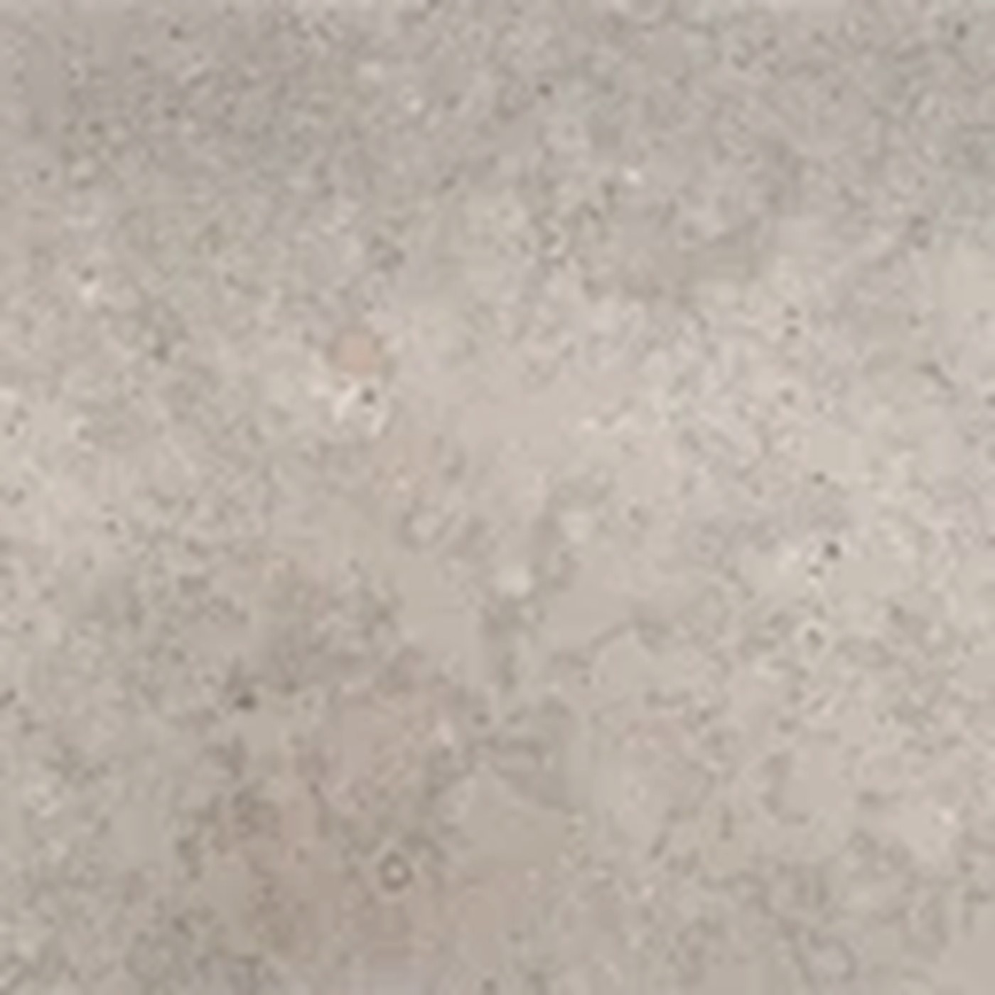 Gotlandskalksten Fossil kalksten — Marmorskivan