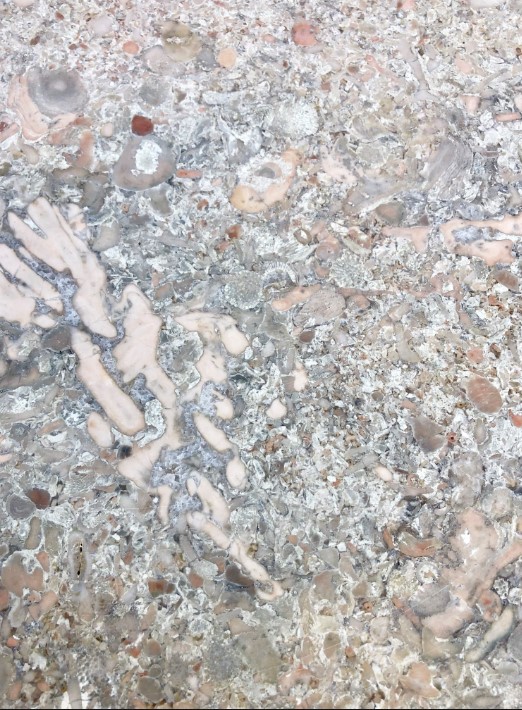 Södervange bänkskiva – Naturlig kalkstensnyans med möjliga fossiler