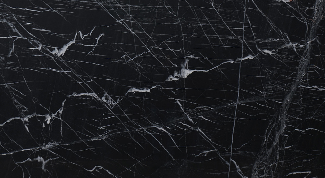 Venom – 55384