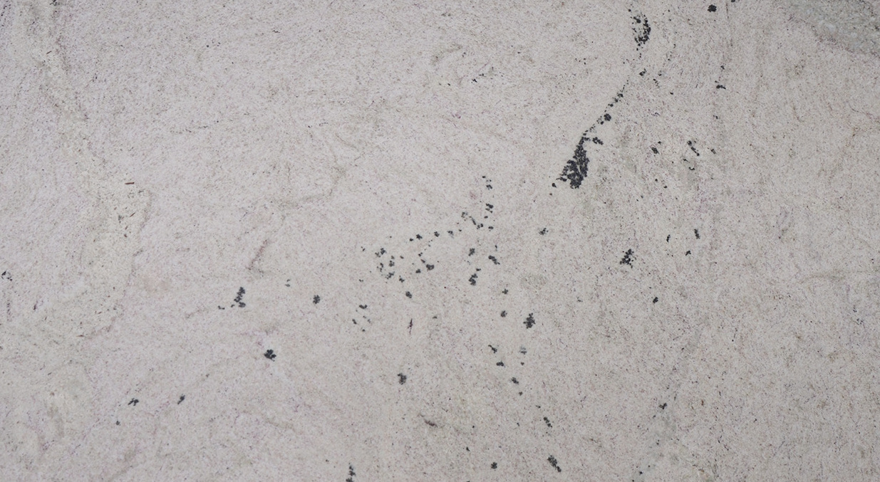 White Desiree 166870